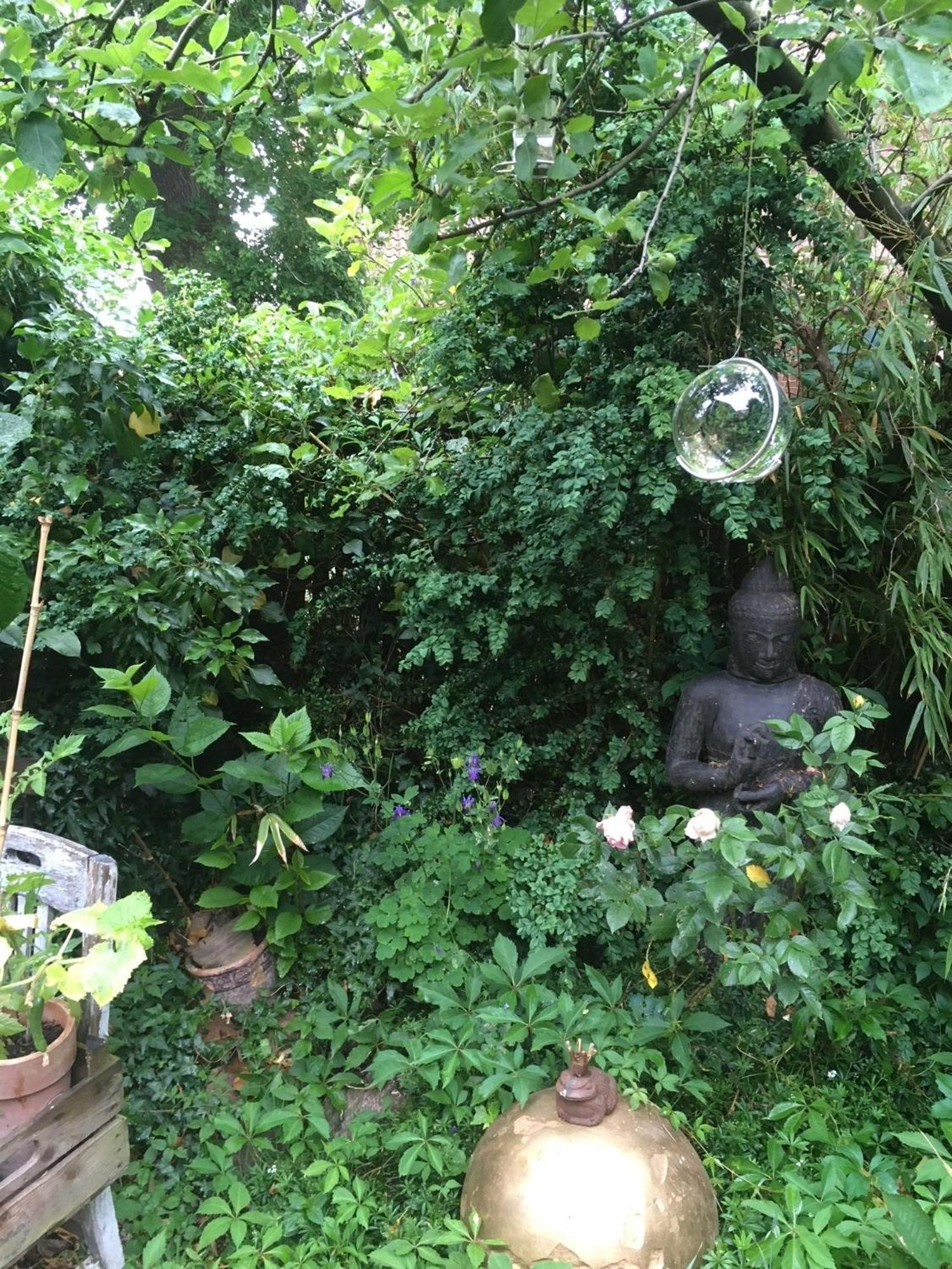 Grosse Hobbithoehle Mit Gemeinschaftsgarten Neustadt am Rübenberge Extérieur photo